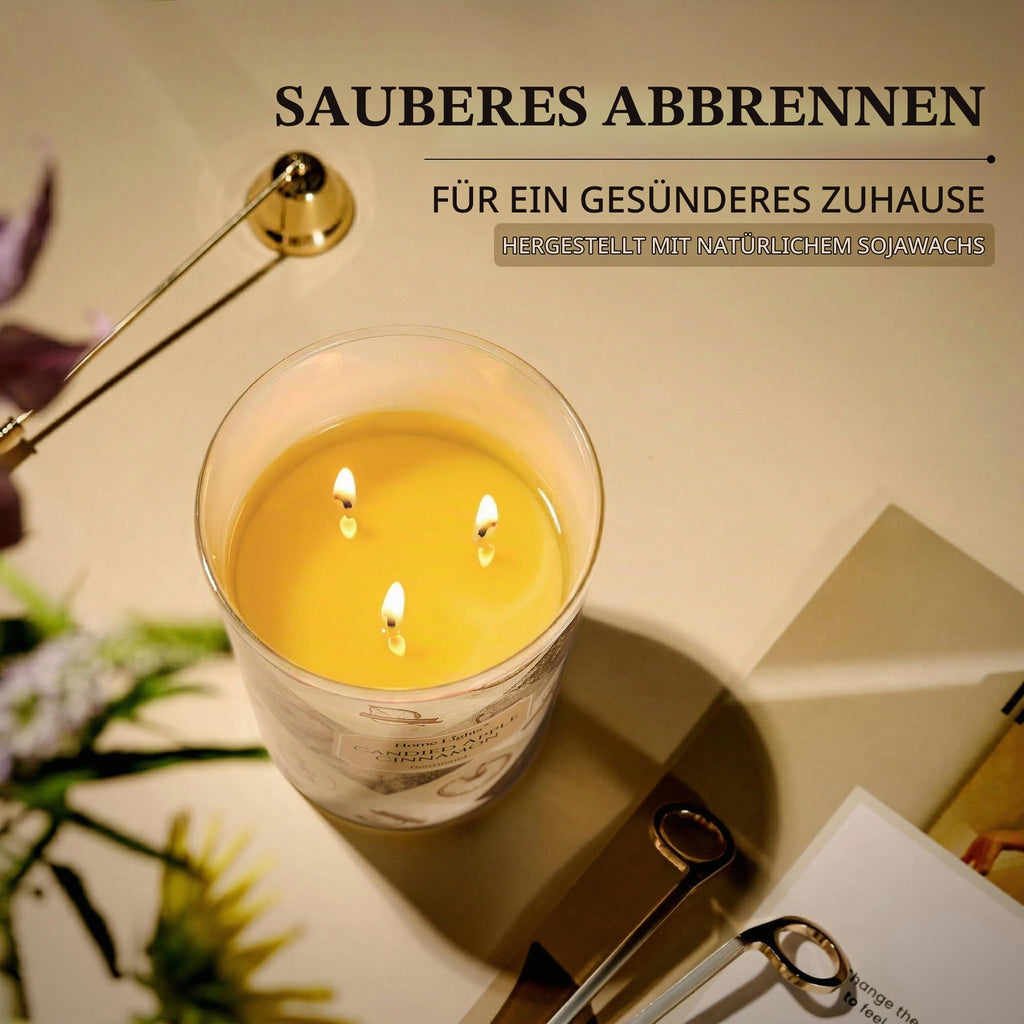 Home Lights Duftkerzen im glas 510g Soja Kerzen 4-Wick Kerzengläser Aromatherapie, Rauchfrei, 50h vollverbrannte Duftkerze Herbstkranz